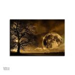 Illustration harmonieuse de la Lune et de la nature
