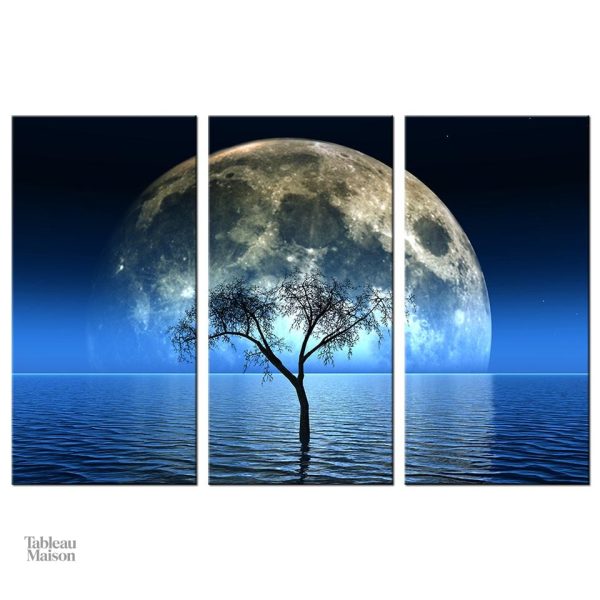 Vue artistique d'un tableau représentant la nuit paisible