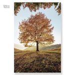 Peinture d'un arbre aux nuances automnales captivantes