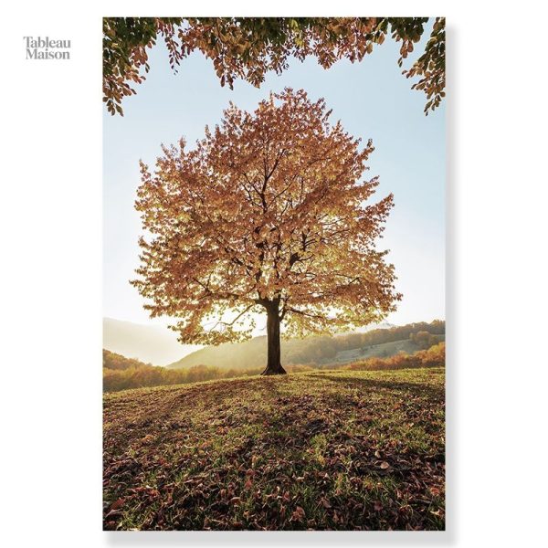 Peinture d'un arbre aux nuances automnales captivantes