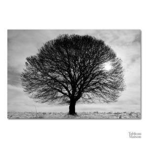 Décoration intérieure : tableau arbre de vie stylisé noir et blanc