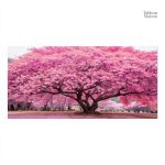 Tableau floral Arbre de Vie dans des tons roses