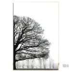 Illustration artistique arbre noir et blanc décoratif