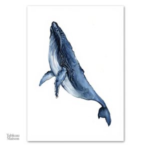 Art mural mer : tableau baleine bleue en aquarelle élégante
