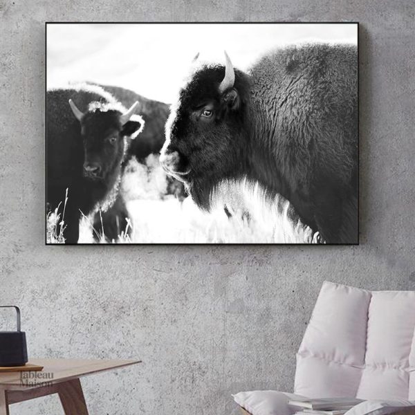 Tableau bison noir et blanc, art mural moderne