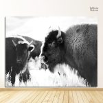 Illustration de bison en noir et blanc, style minimaliste