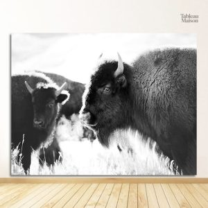 Illustration de bison en noir et blanc, style minimaliste