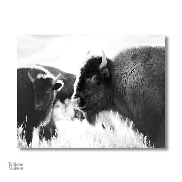 Tableau artistique bison, design élégant en noir et blanc