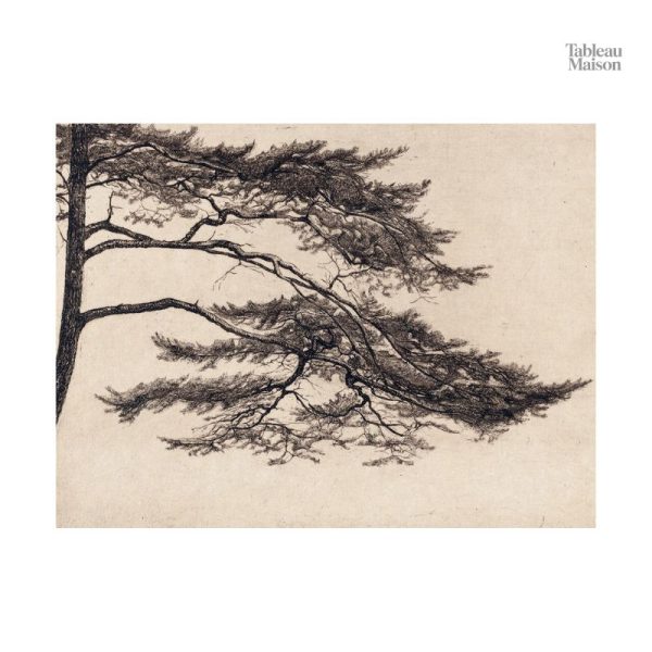 Tableau artistique illustrant la beauté d'une branche d'arbre