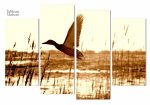 Art mural mettant en scène des oiseaux migrateurs