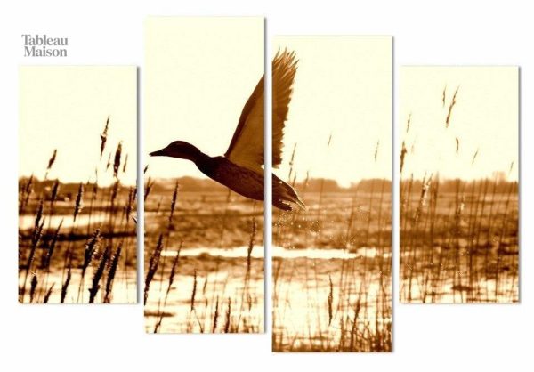 Art mural mettant en scène des oiseaux migrateurs