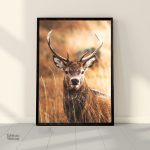 Tableau Cerf Grand Format en décoration murale