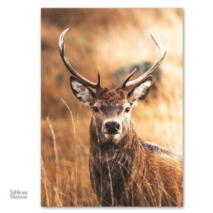 Illustration de cerf en tableau pour ambiance naturelle