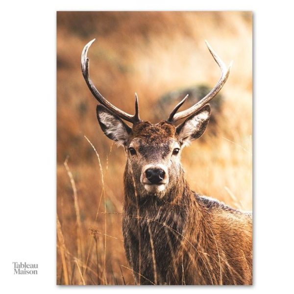 Illustration de cerf en tableau pour ambiance naturelle