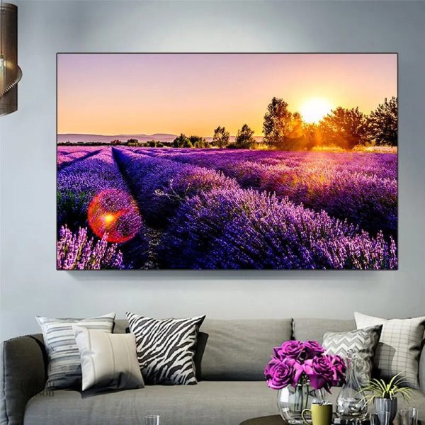 Tableau de lavande en champ coloré et apaisant