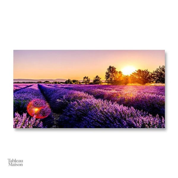 Tableau champ de lavande offrant une ambiance sereine