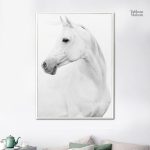 Tableau représentant un cheval blanc majestueux