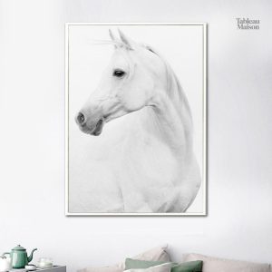 Tableau représentant un cheval blanc majestueux