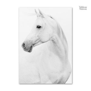 Œuvre artistique d'un cheval blanc sur fond neutre