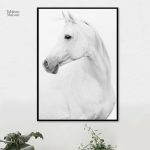 Tableau élégant de cheval blanc, idéal pour décoration intérieure