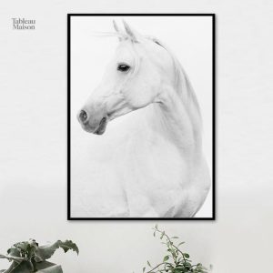 Tableau élégant de cheval blanc, idéal pour décoration intérieure