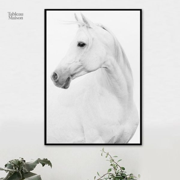 Tableau élégant de cheval blanc, idéal pour décoration intérieure