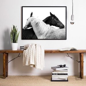Illustration d'un cheval en noir et blanc