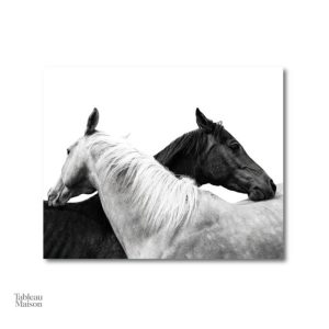Œuvre monochrome représentant un cheval élégant