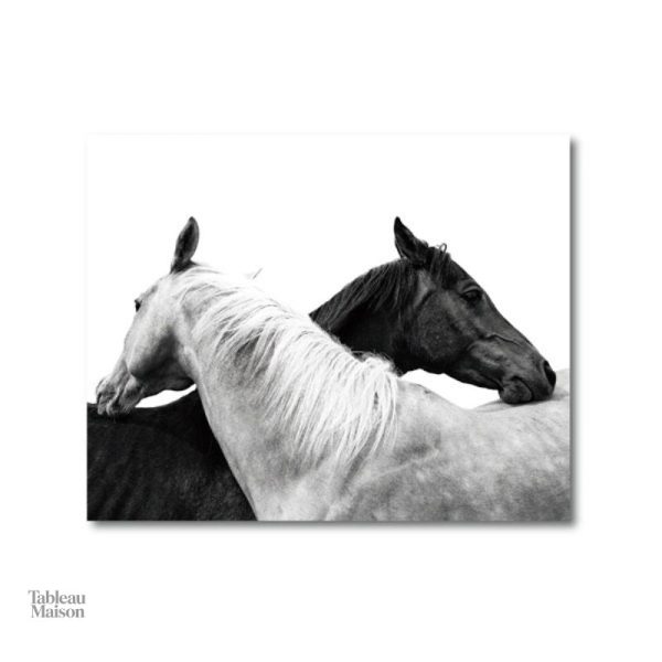 Œuvre monochrome représentant un cheval élégant