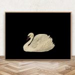 Cygne blanc élégant sur toile sombre