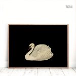 Tableau animalier avec cygne sur fond noir