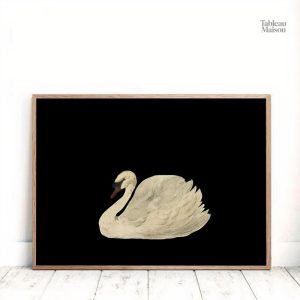 Tableau animalier avec cygne sur fond noir