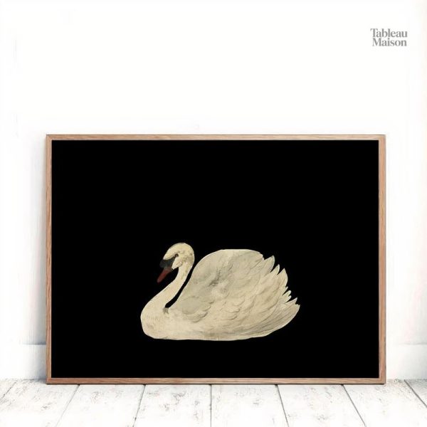 Tableau animalier avec cygne sur fond noir