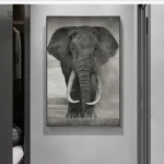 Tableau illustrant un éléphant, design saisissant et unique