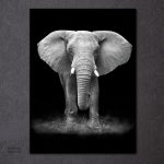 Art mural noir et blanc avec un éléphant stylisé