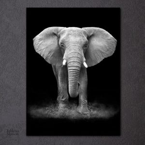 Art mural noir et blanc avec un éléphant stylisé
