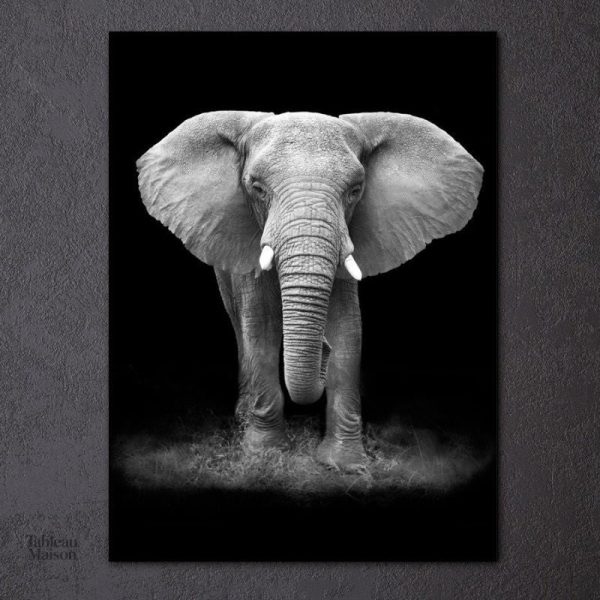 Art mural noir et blanc avec un éléphant stylisé