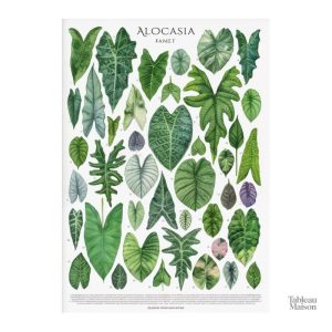 Décoration murale inspirée de la nature et des arbres