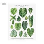 Oeuvre d'art sur le thème des feuilles et de la vie