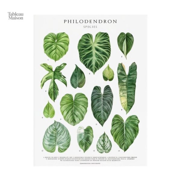 Oeuvre d'art sur le thème des feuilles et de la vie
