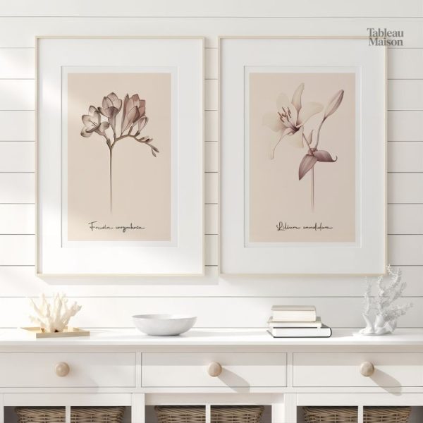 Tableau minimaliste de fleurs élégantes