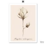 Représentation artistique de fleurs simples