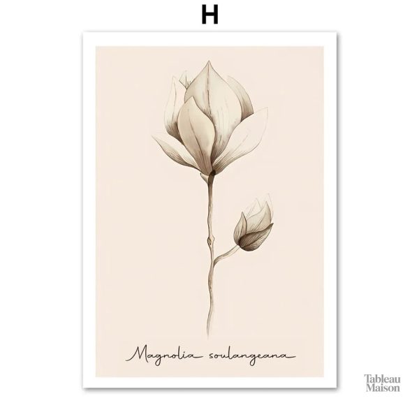 Représentation artistique de fleurs simples