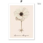 Illustration de fleurs sur fond minimaliste