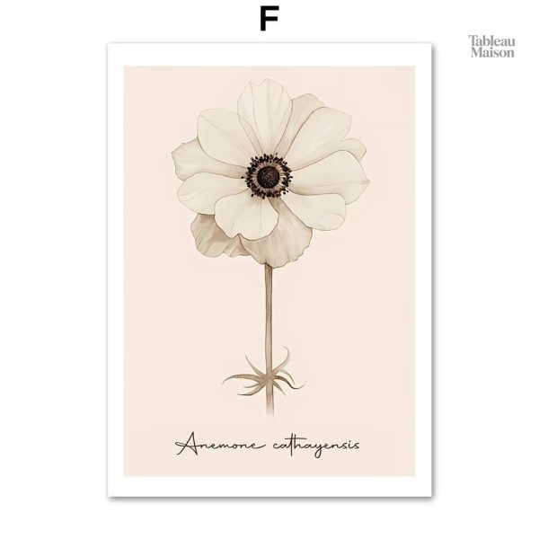 Illustration de fleurs sur fond minimaliste