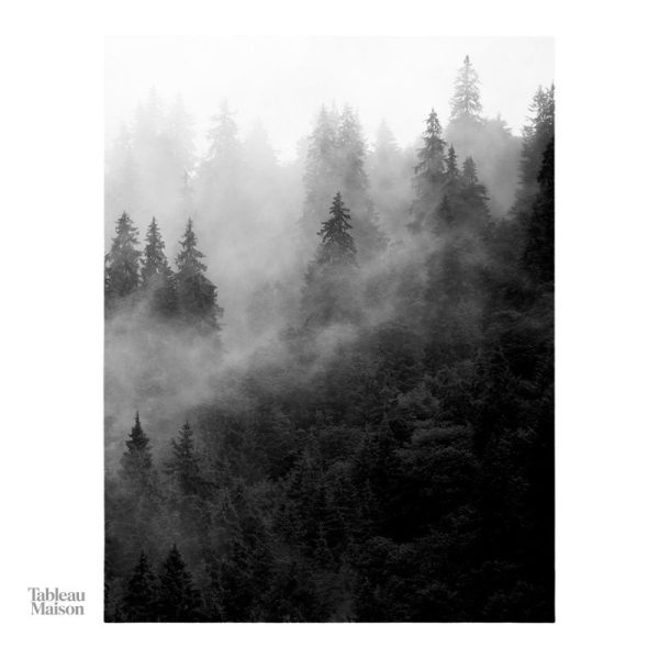 Tableau d'art avec arbres dans la brume