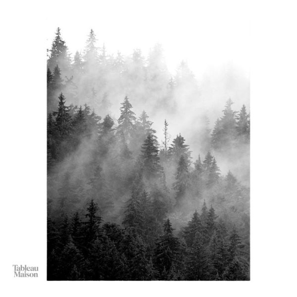 Ambiance nature en noir et blanc, tableau forêt