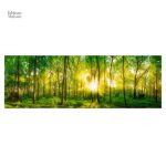 Tableau nature - ambiance forêt et lumière
