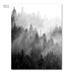 Impression artistique forêt sombre