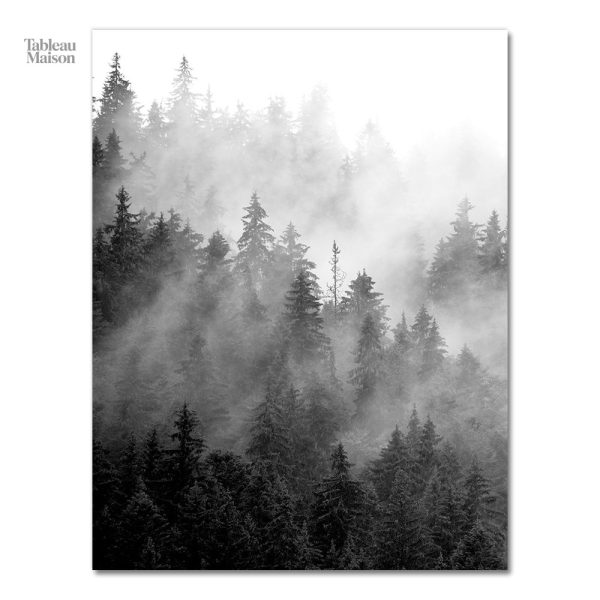 Impression artistique forêt sombre